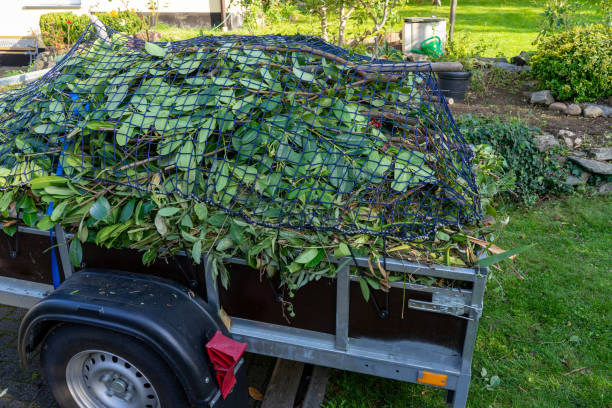 Best Carpet Removal and Disposal  in Belle Meade, TN